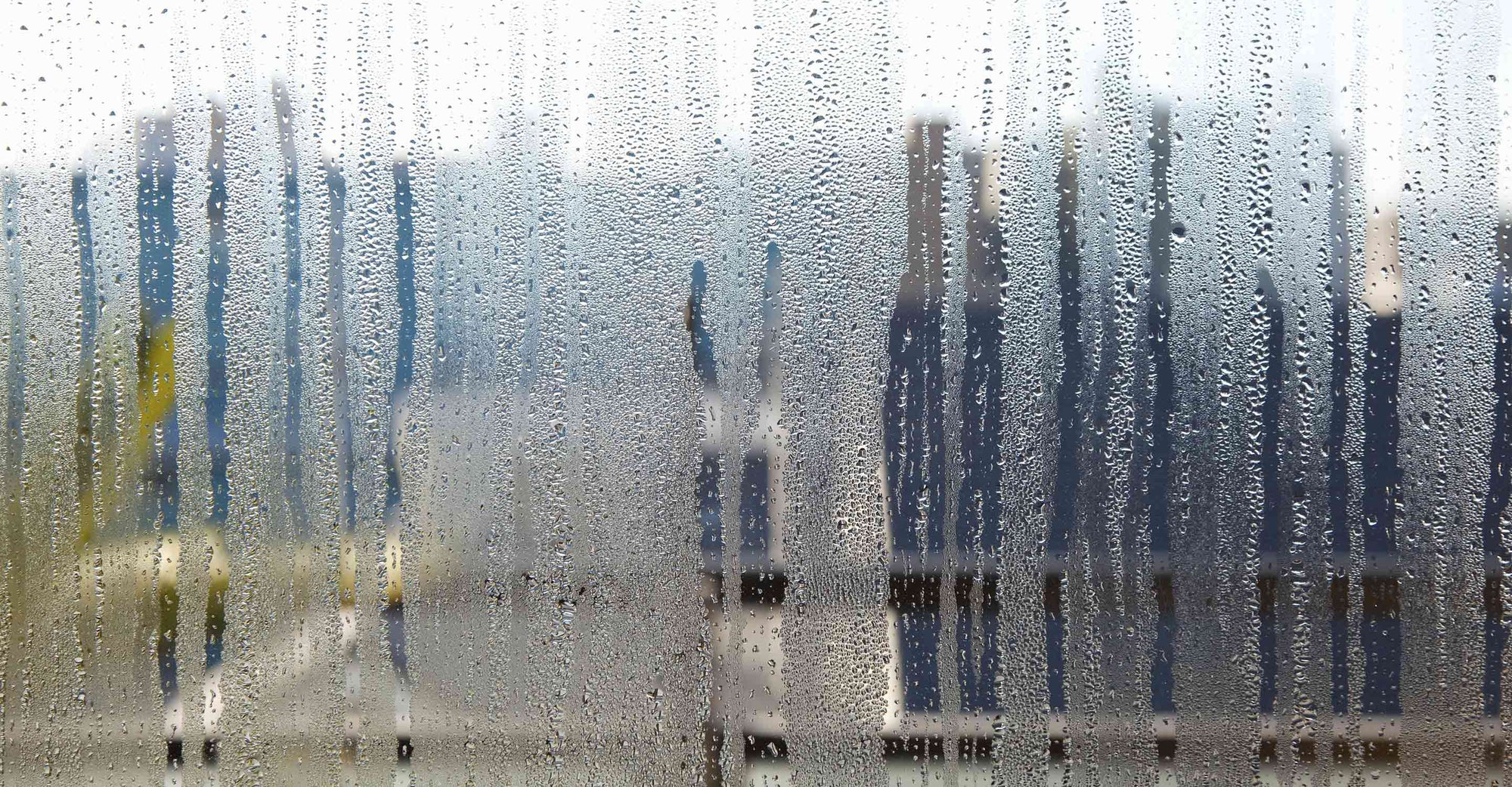 condensation on a window