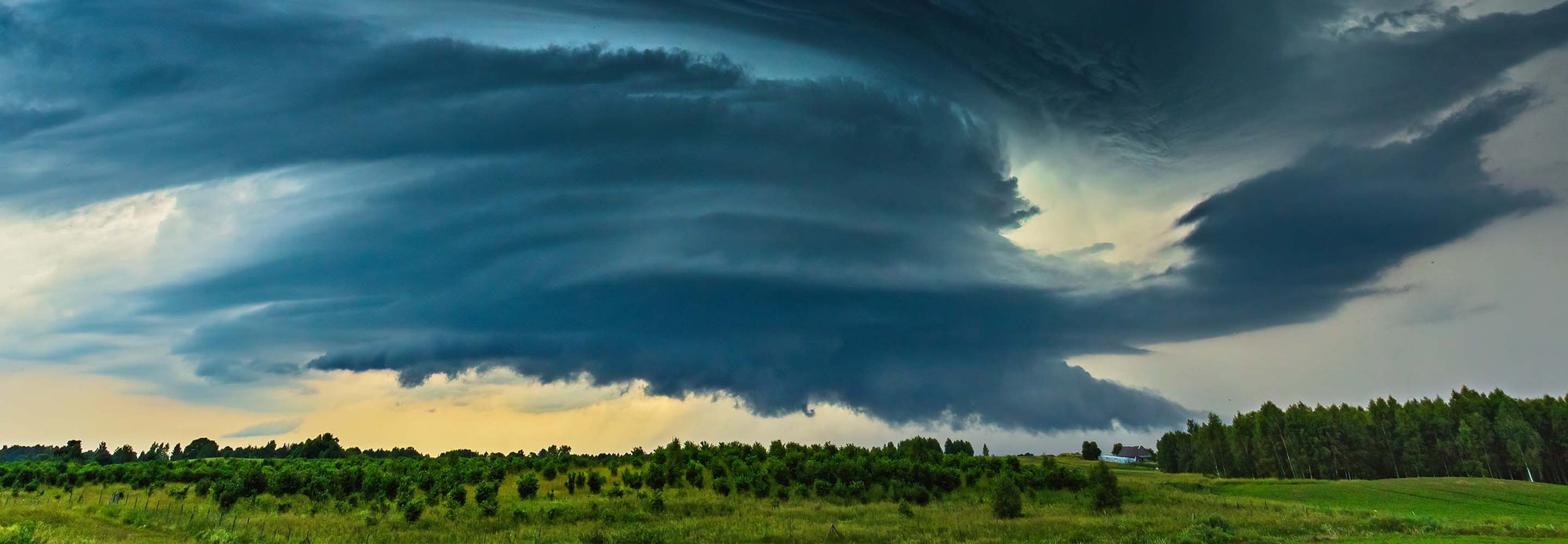 Storm cloud hovering over field of trees