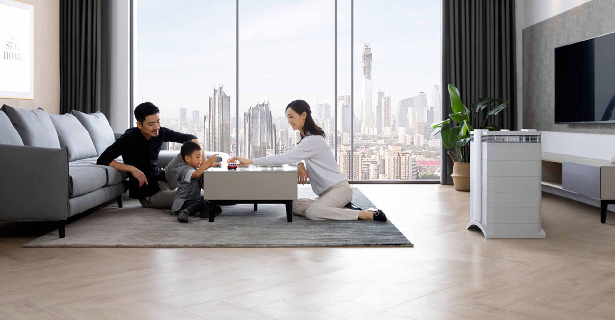 Air Purifier In Living Room