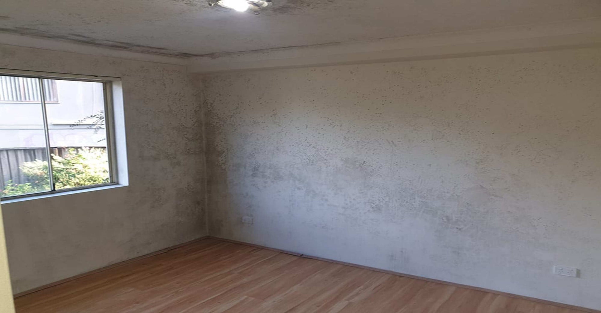 Air Purifiers For Mold Remediation Strategies