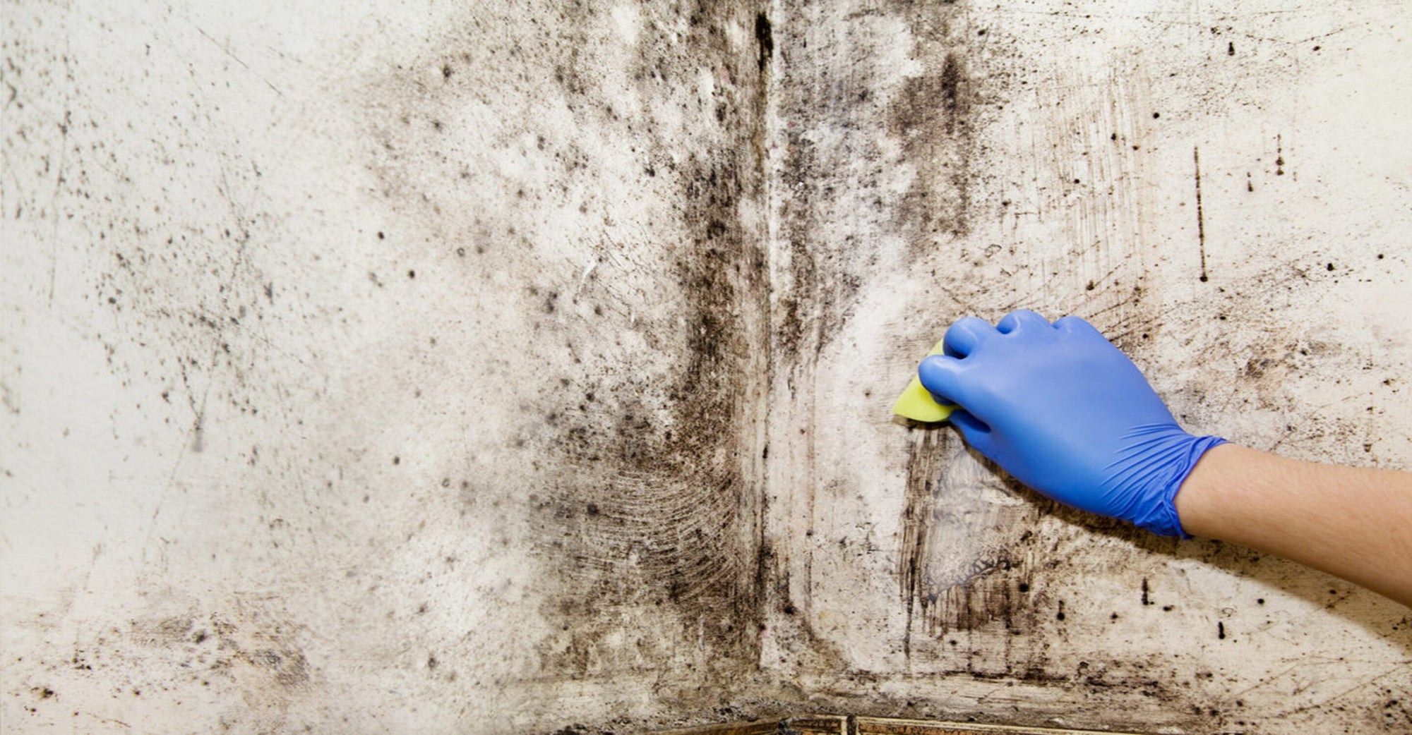 Navigating Mold Problems: How Air Purifiers Can Make A Difference