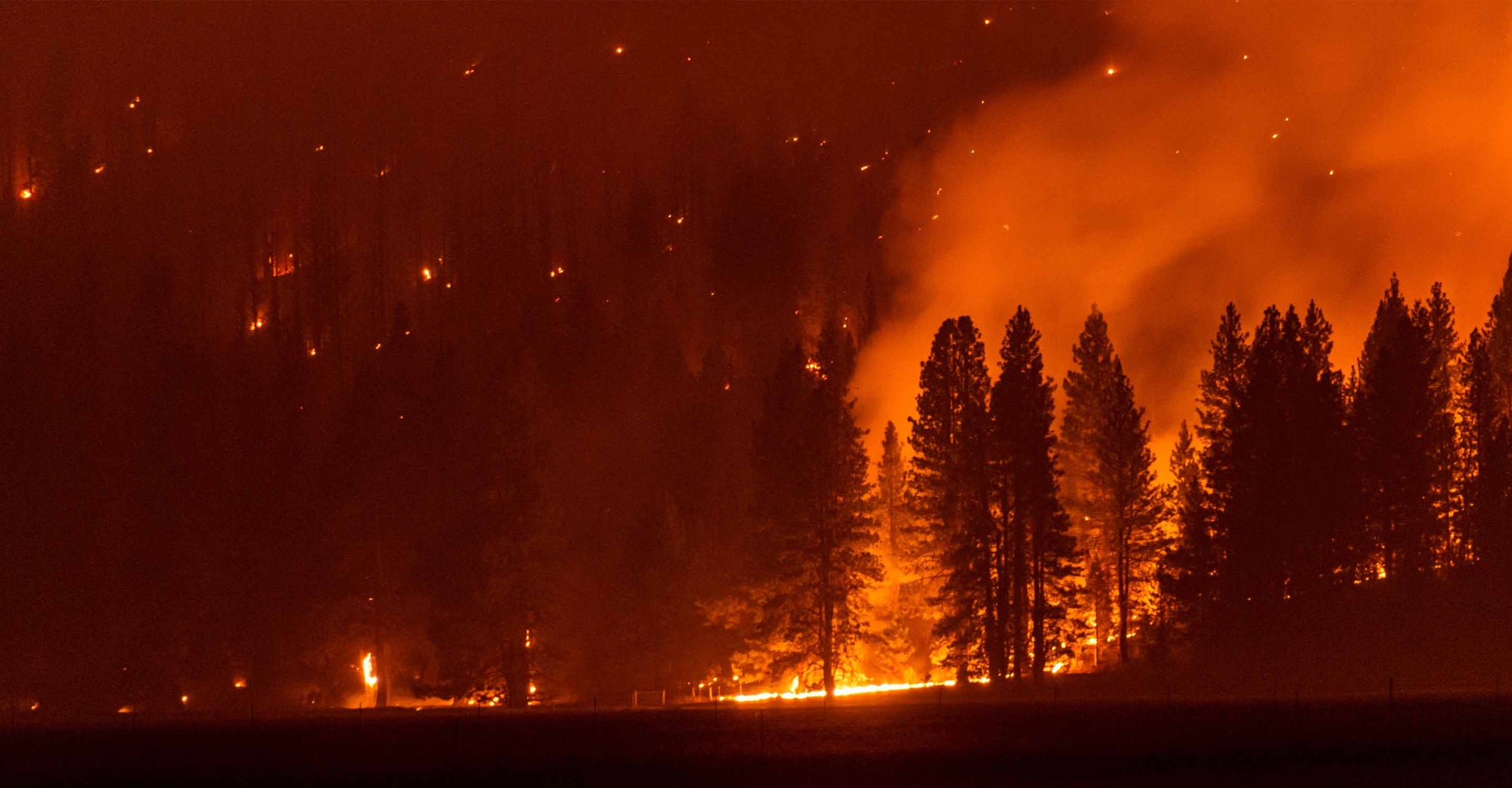 Wildfire Map Spotlight: Northern California