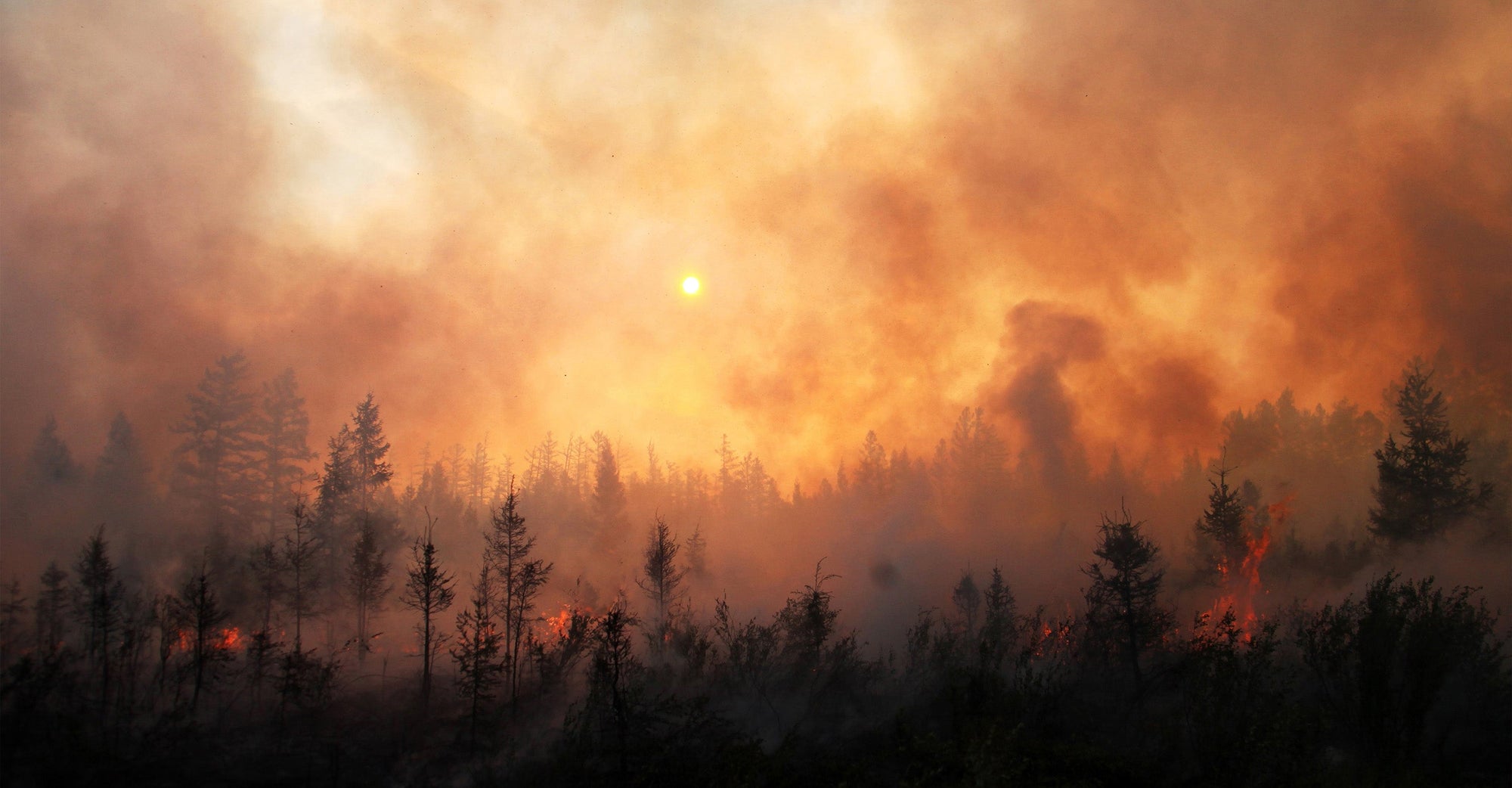 Wildfire Map Spotlight: Cram Fire, Oregon