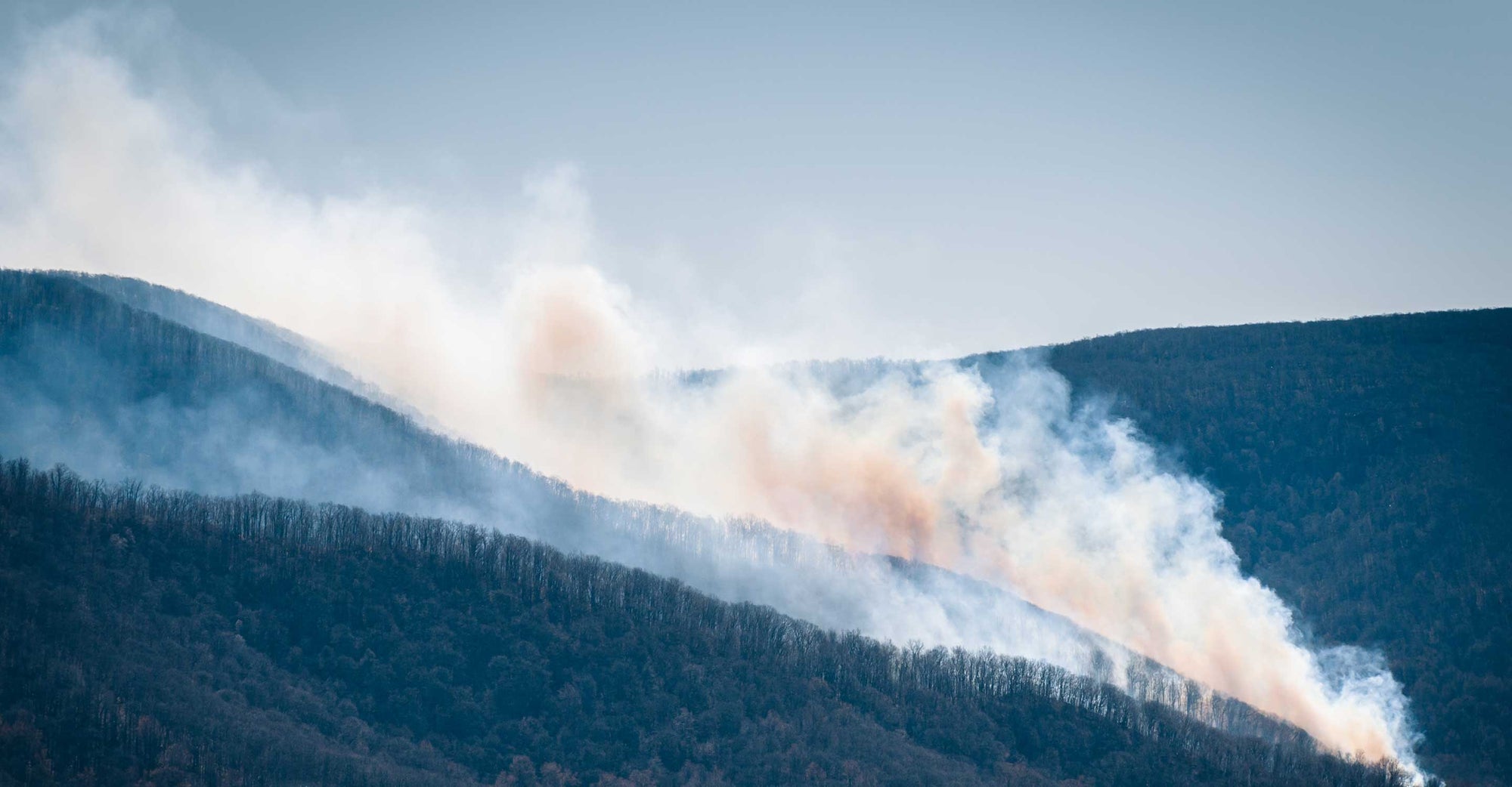 The Quaker Run fire burning in Shenandoah.