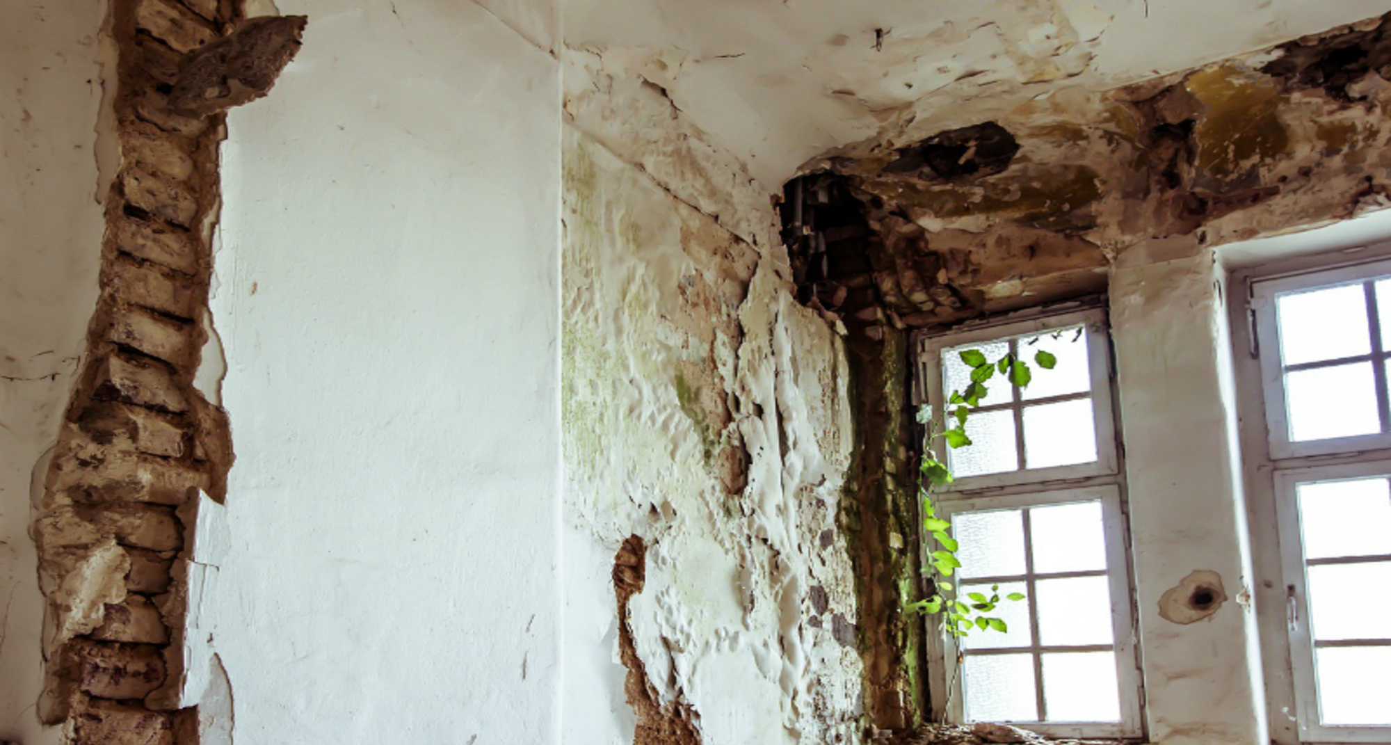 Air Purifiers: The Answer To Mold Problems In Old Houses