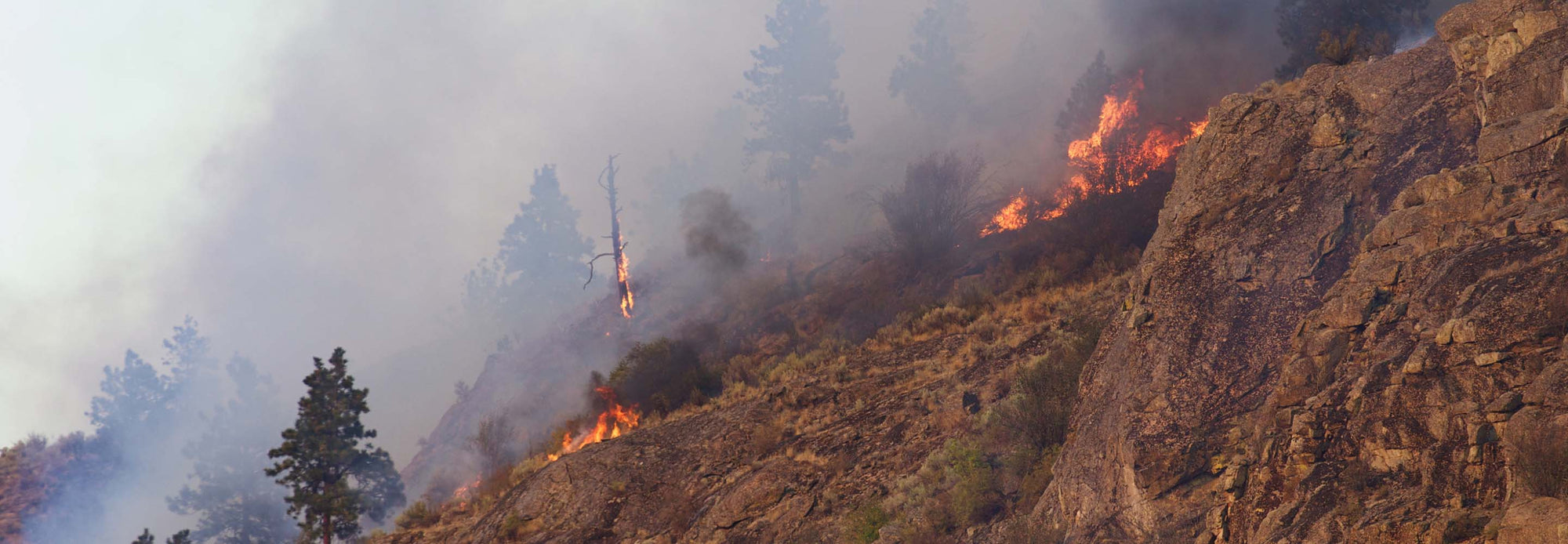 Wildfire burning on a hillside