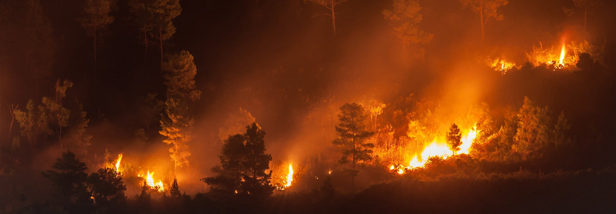 Wildfires burning in Scotland