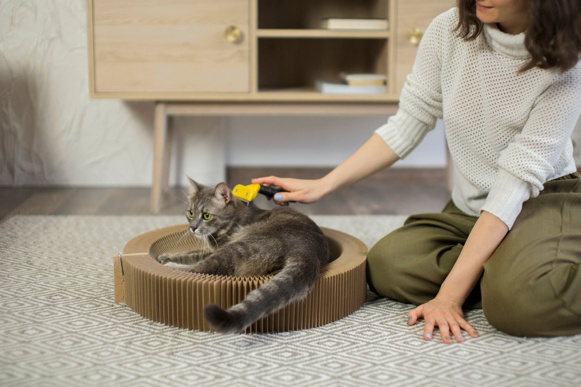 Cat-Friendly Homes: Making The Most Of Your Air Purifier