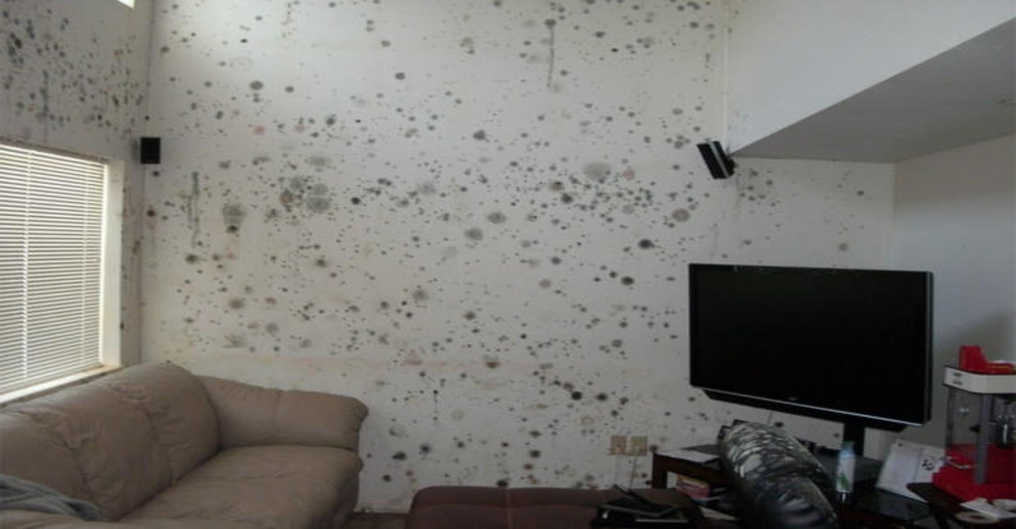 How Effective Are Air Purifiers For Mold?