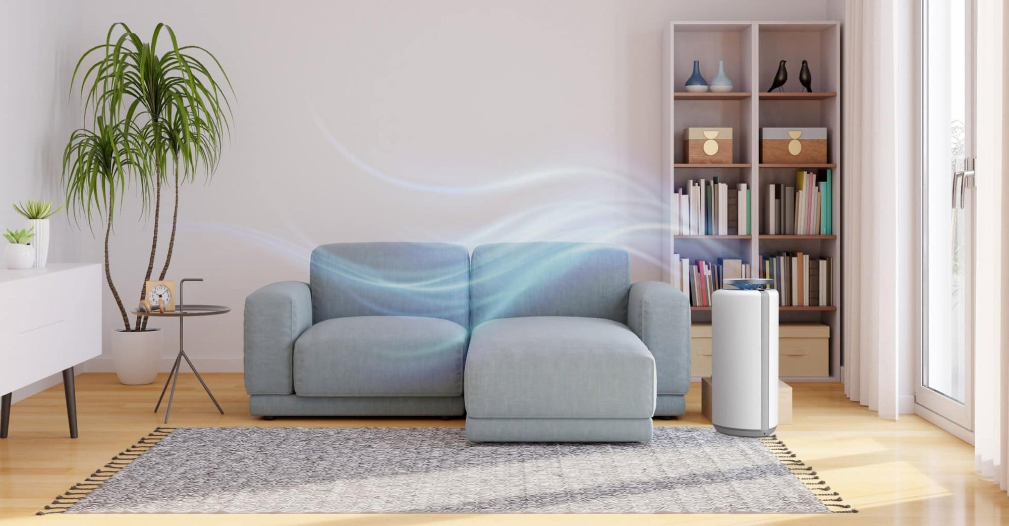 Air Purifiers For Specific Needs