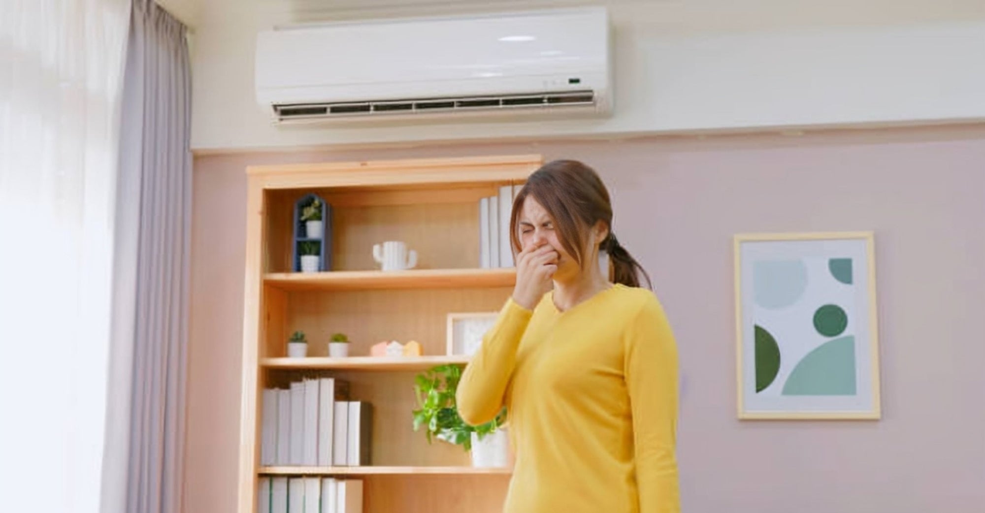 Air Purifiers: The Frontline Against Household Odors