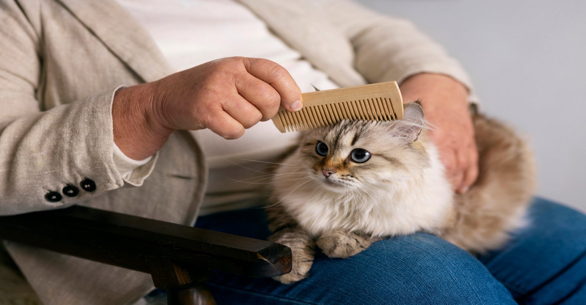 Advanced Techniques In Removing Cat Hair With Air Purifiers