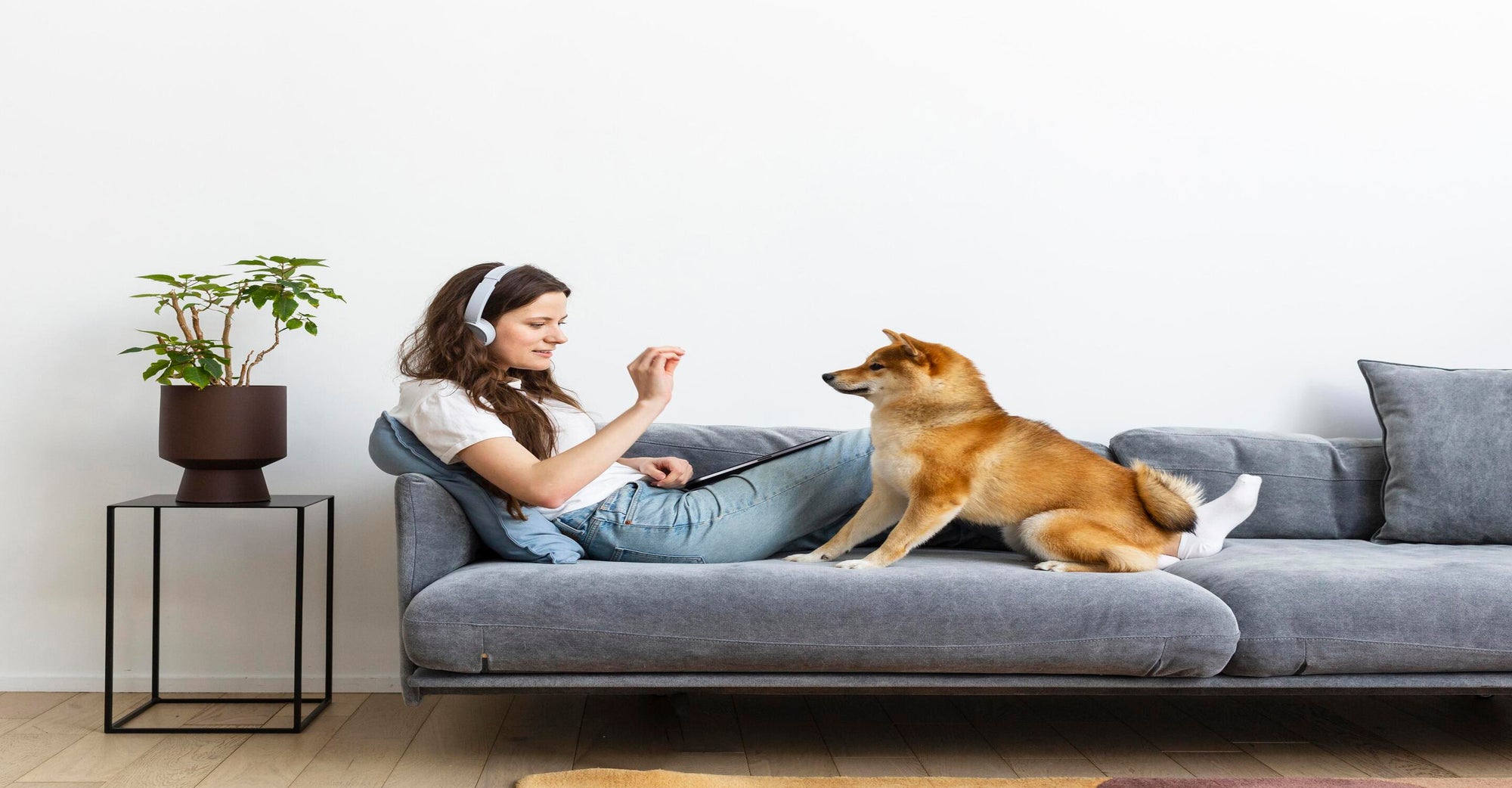 Pet Dander And Odors: Selecting The Right Air Purifier For Pet-Friendly Homes