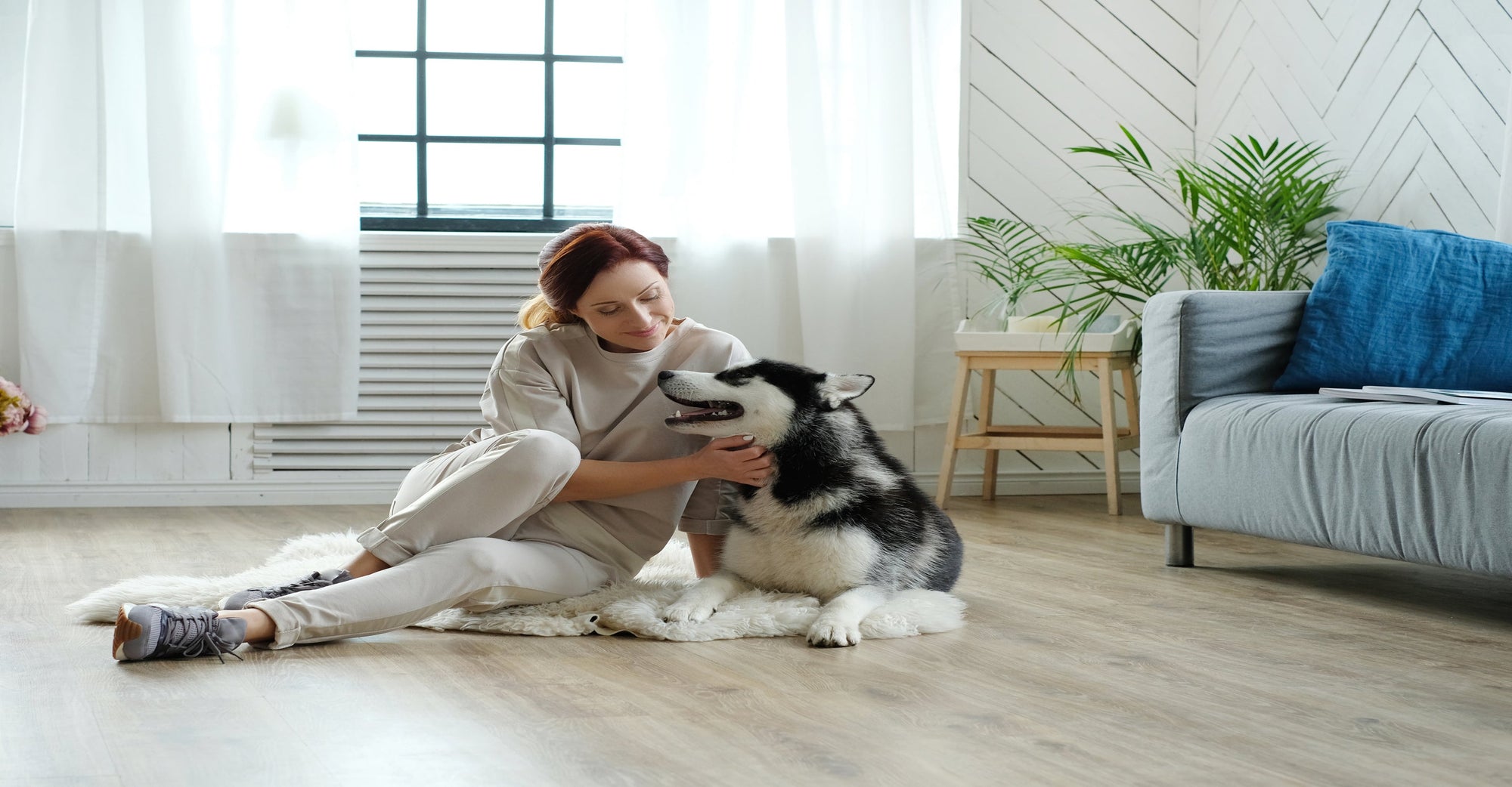 Elevating Air Quality In Pet Homes: The Role Of Air Purifiers