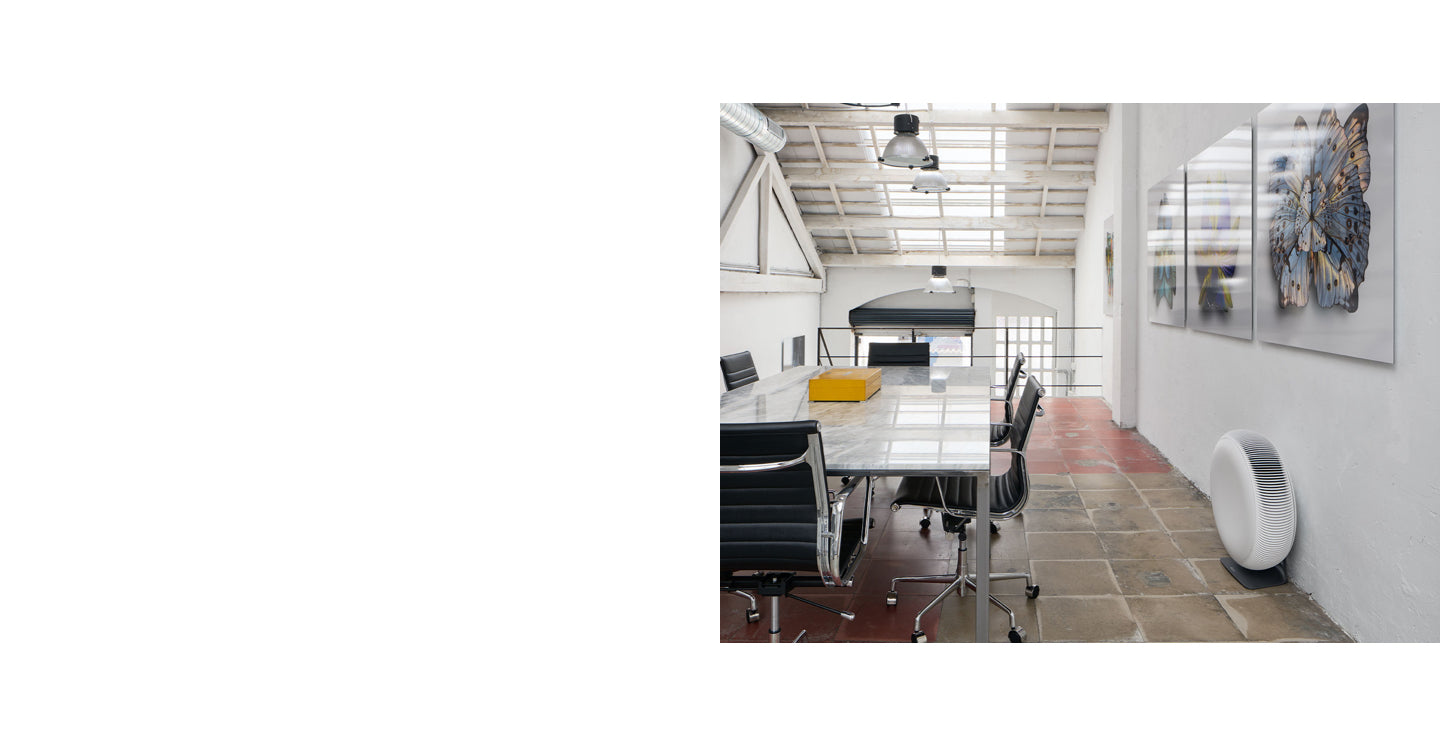 Atem X on floor beside office desks