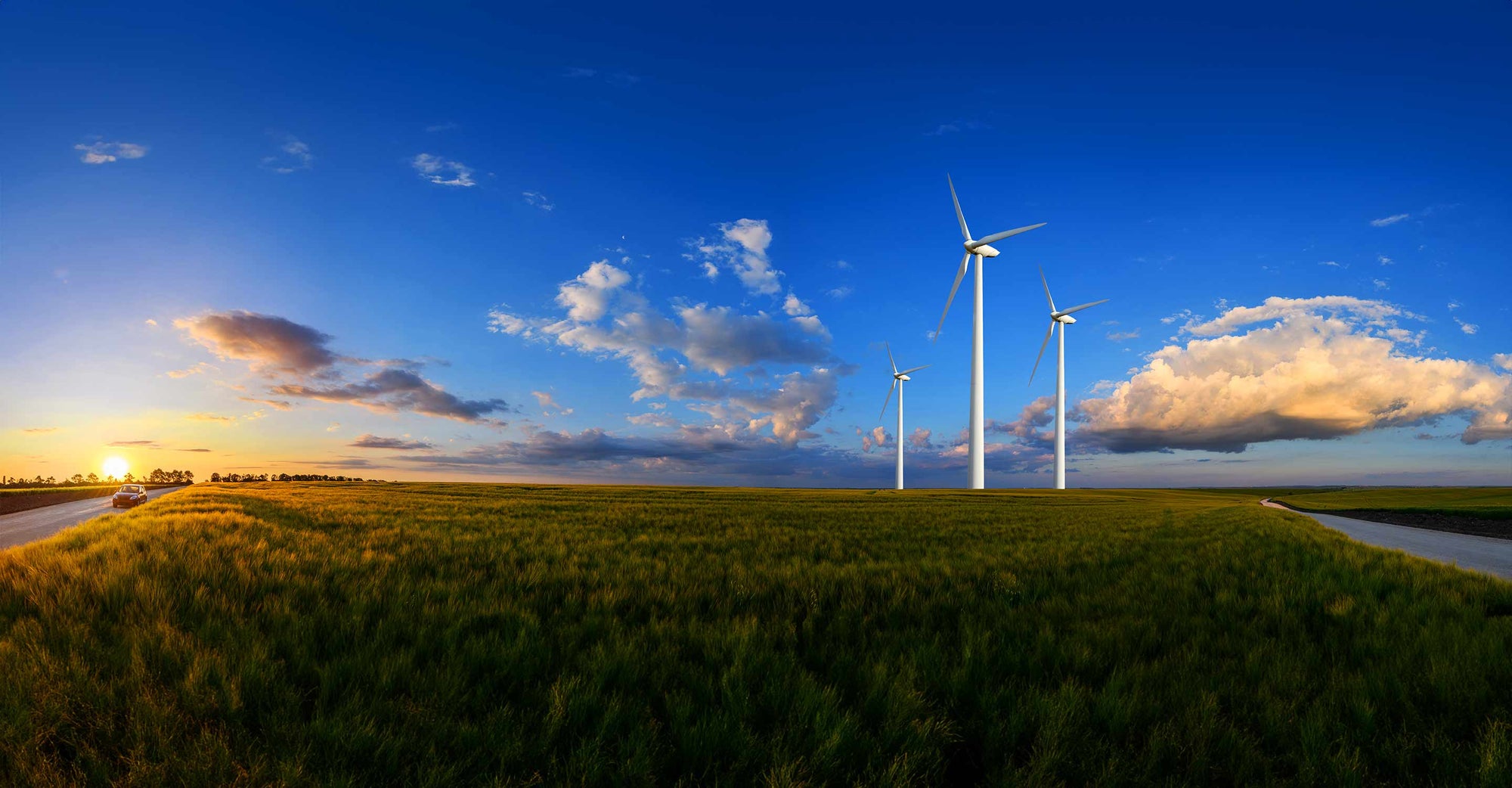 Windmills in field with road on left