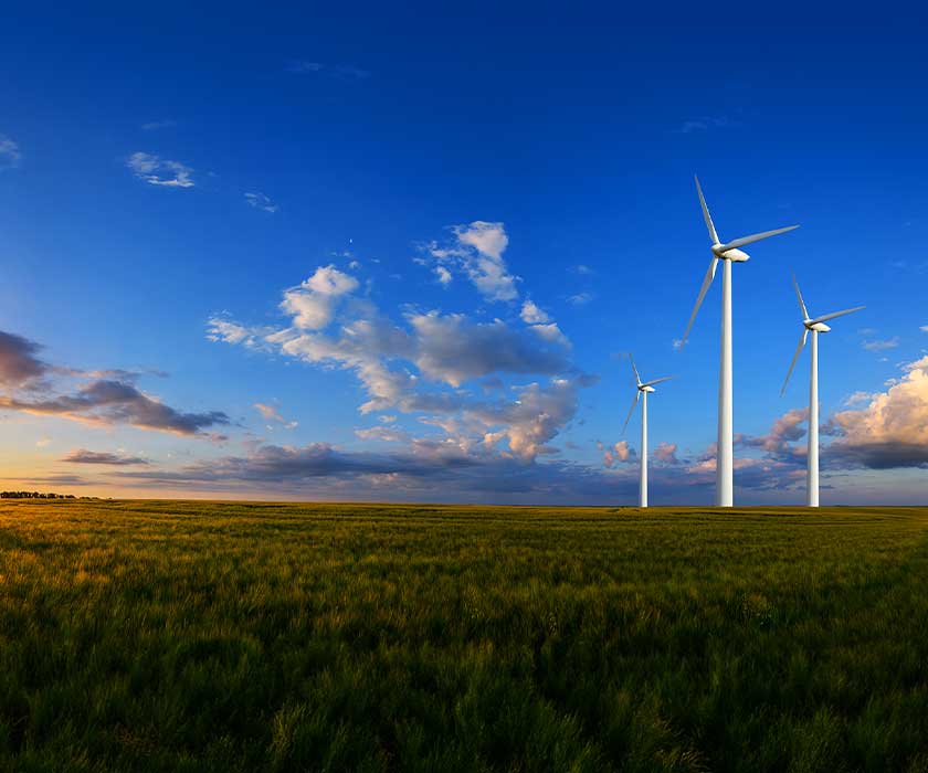 Windmills in field with road on left