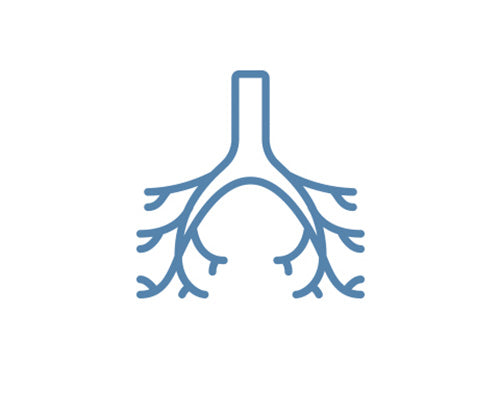 lungs icon