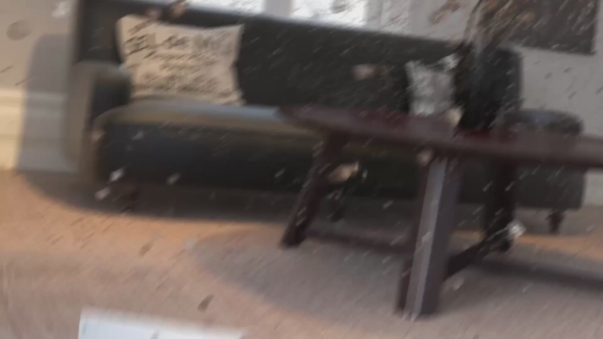 Load video: 
